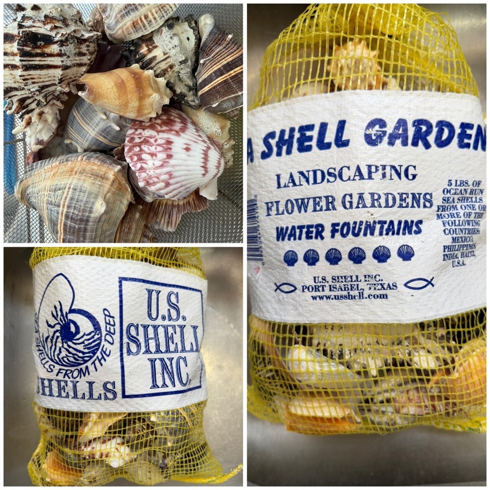 5.2 LBS Ocean Run Sea Shells Landscaping Flower Gardens Water Fountains